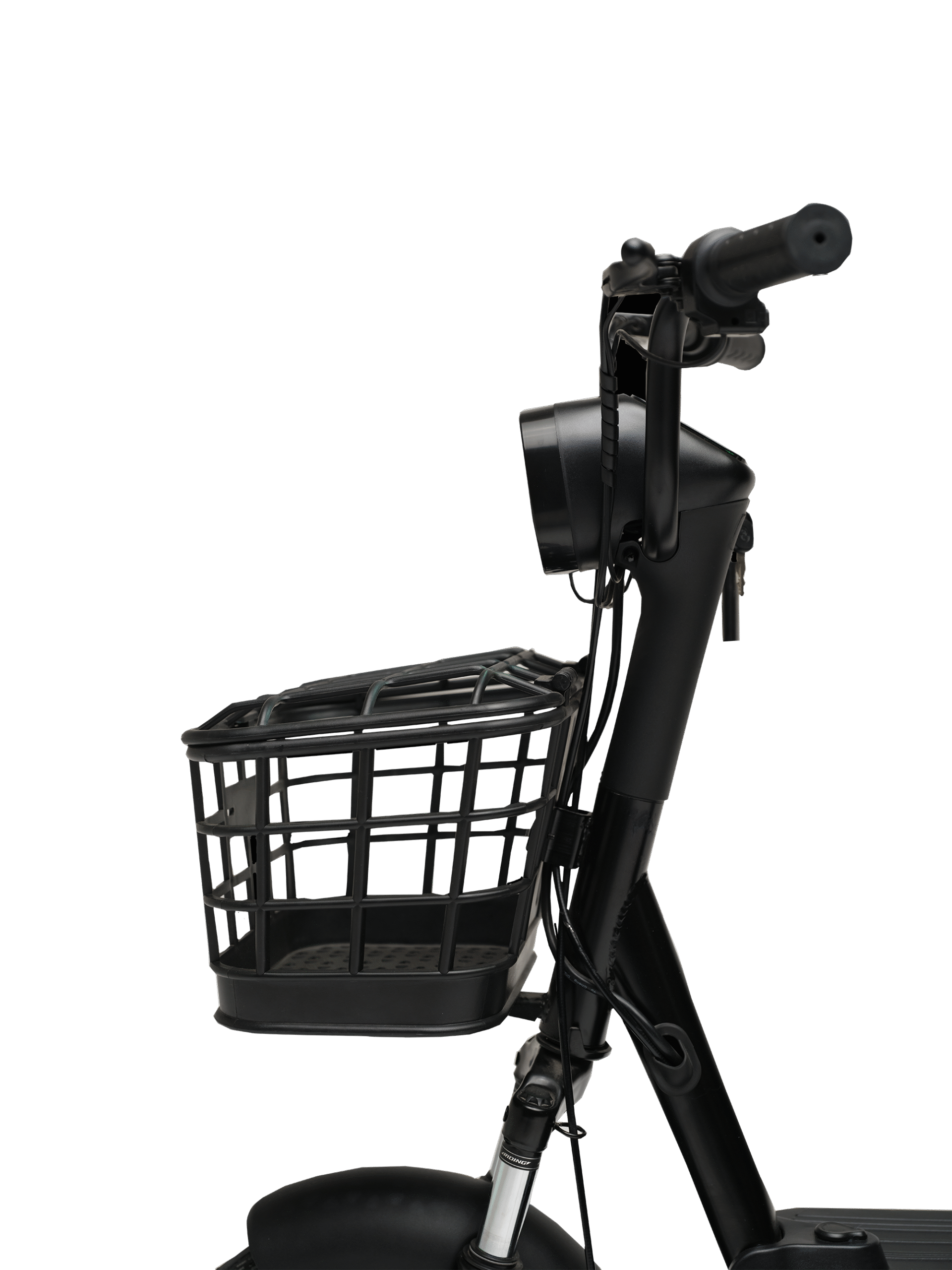 Evee Flipper - Image 3