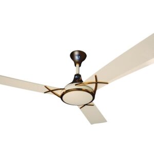 Pak Fan Aspire Model